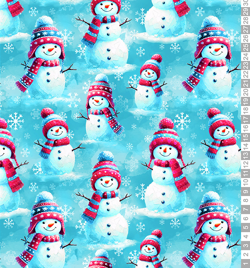 PŘEDOBJEDNÁVKA Sněhuláci ❄ Tričkovina 190gr. /Teplákovina 240gr.